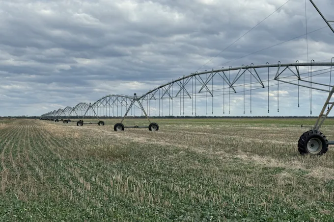 5941 Boree-Morago Road, Deniliquin, NSW, 2710 - Image 1