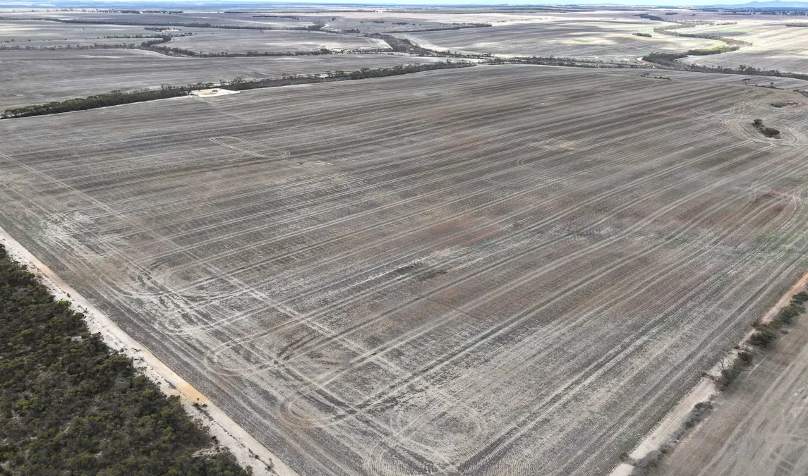 1133 Koornong Road, West River, WA, 6346 - Image 9