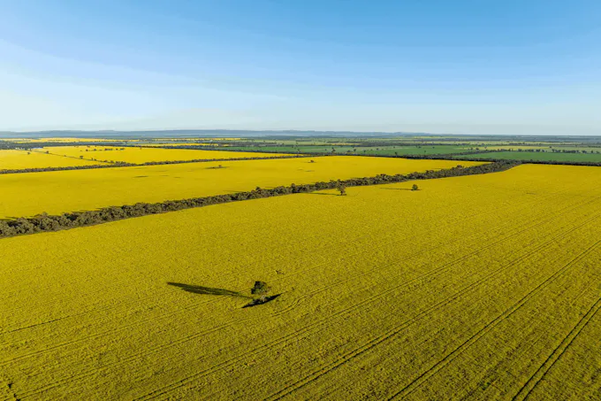 1133 Koornong Road, West River, WA, 6346 - Image 1