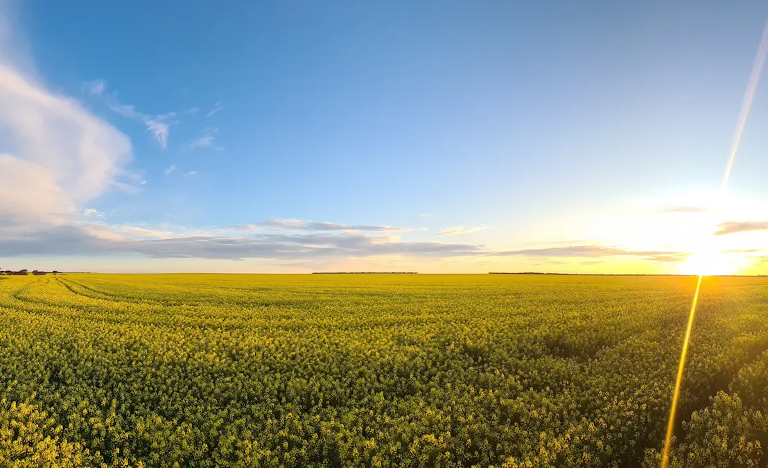 1133 Koornong Road, West River, WA, 6346 - Image 25