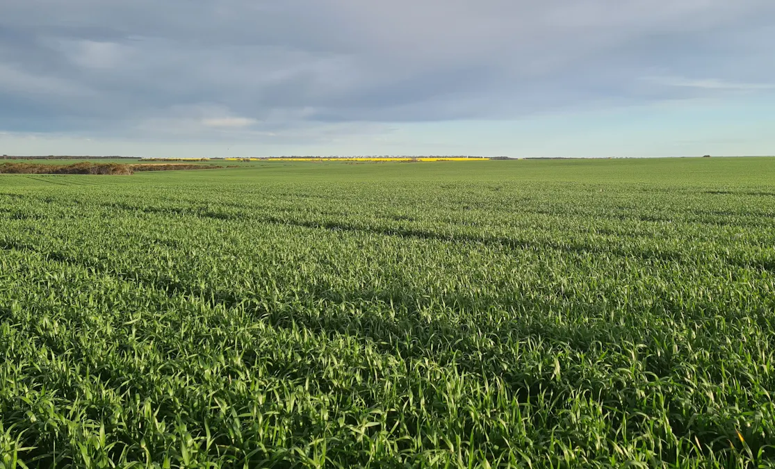 1133 Koornong Road, West River, WA, 6346 - Image 24