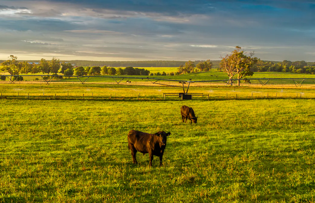 103 Kellys Road, Longford, VIC, 3851 - Image 2