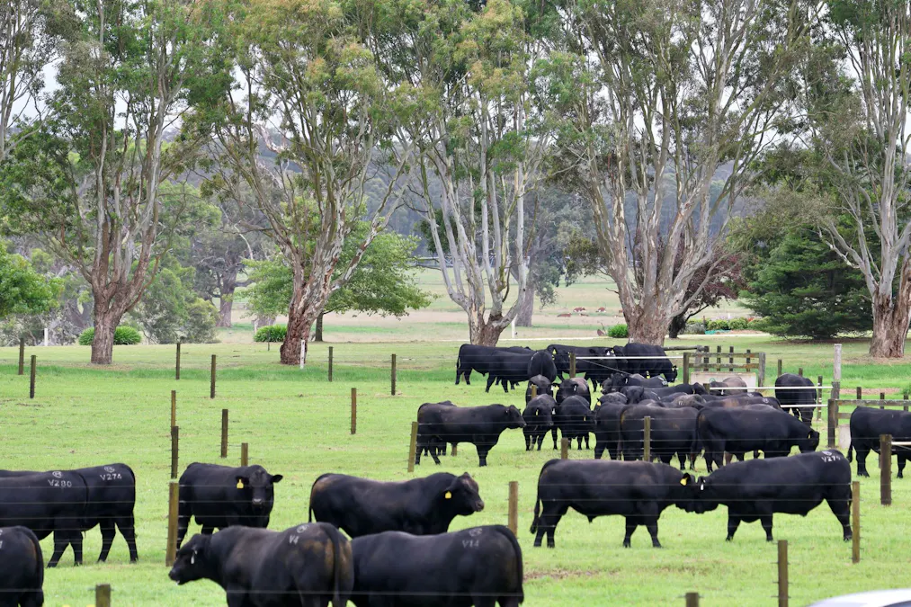 103 Kellys Road, Longford, VIC, 3851 - Image 14