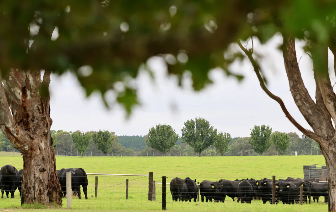 103 Kellys Road, Longford, VIC, 3851 - Image 25