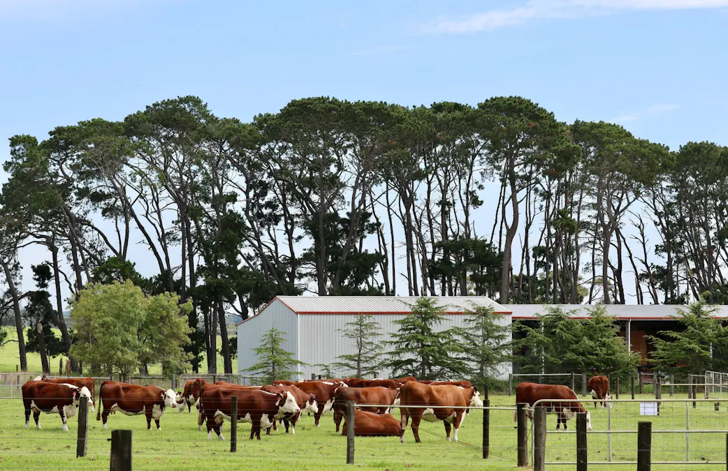 103 Kellys Road, Longford, VIC, 3851 - Image 15