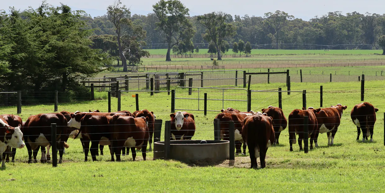 103 Kellys Road, Longford, VIC, 3851 - Image 6