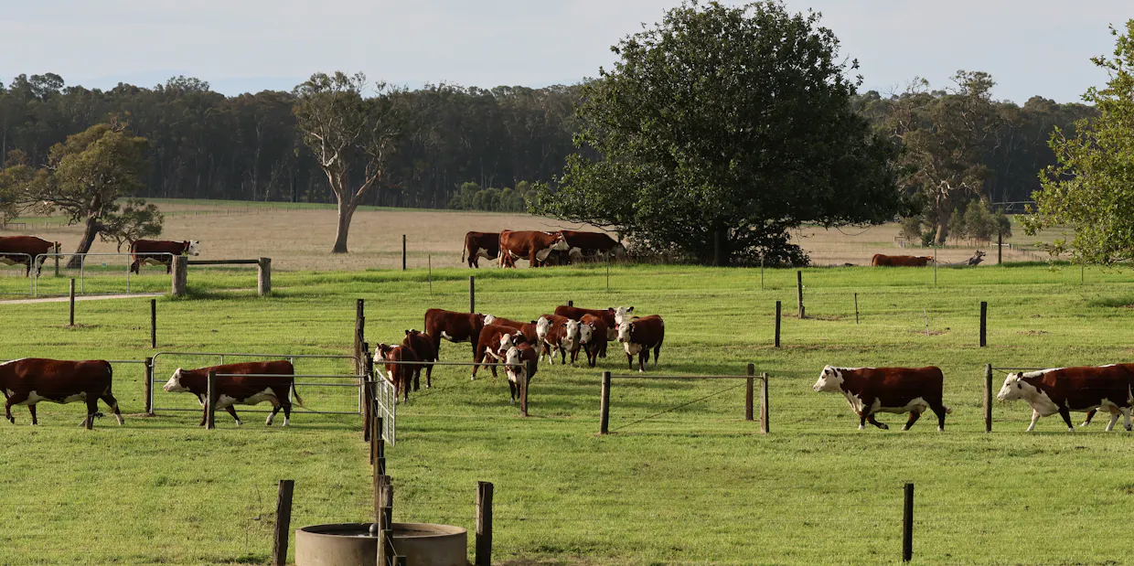 103 Kellys Road, Longford, VIC, 3851 - Image 26