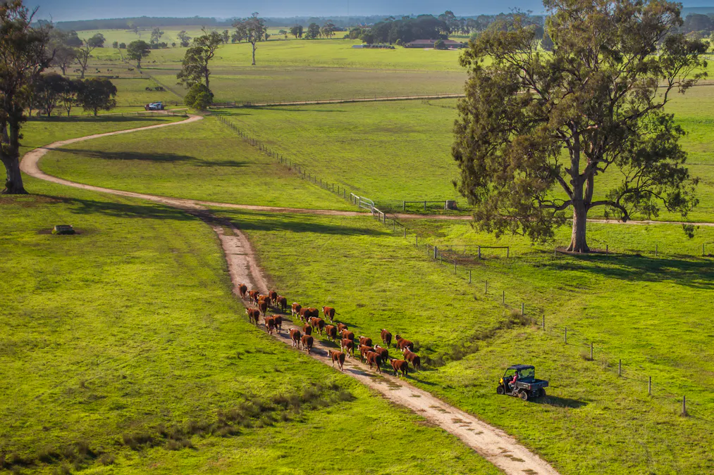 103 Kellys Road, Longford, VIC, 3851 - Image 23