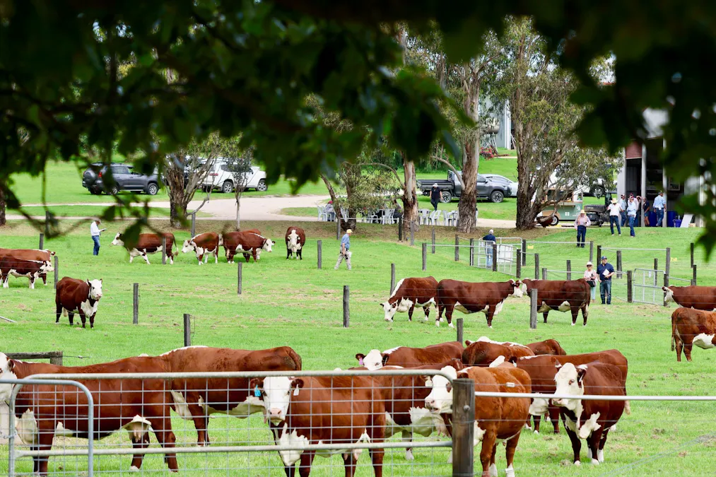 103 Kellys Road, Longford, VIC, 3851 - Image 12