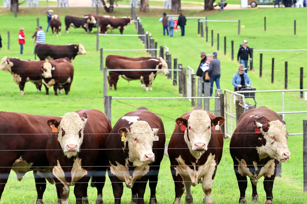 103 Kellys Road, Longford, VIC, 3851 - Image 13