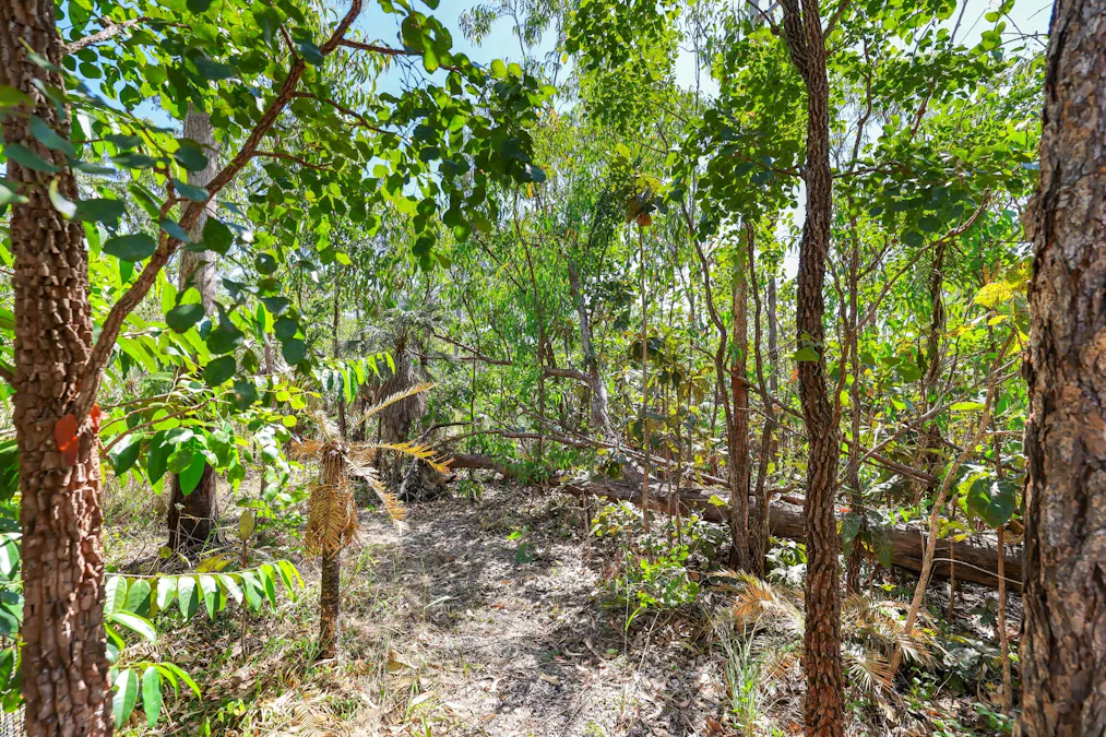 71 Tuey Close, Blackmore, NT, 0822 - Image 32