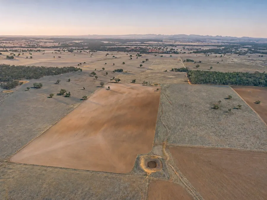 Caruba, 176 Uphills Lane, Purlewaugh, NSW, 2357 - Image 3
