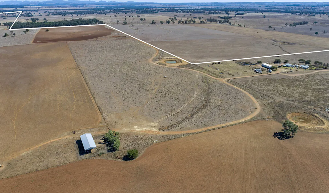 Caruba, 176 Uphills Lane, Purlewaugh, NSW, 2357 - Image 20
