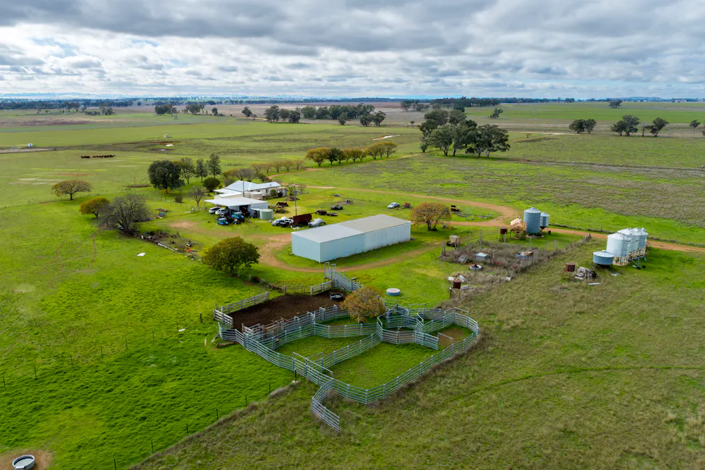 Caruba, 176 Uphills Lane, Purlewaugh, NSW, 2357 - Image 4