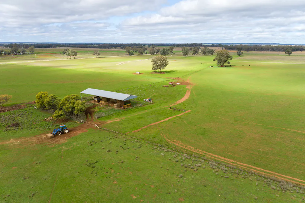 Caruba, 176 Uphills Lane, Purlewaugh, NSW, 2357 - Image 6