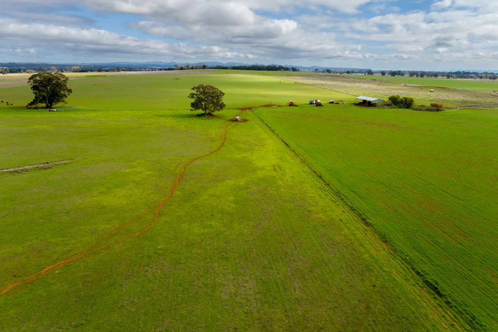 Caruba, 176 Uphills Lane, Purlewaugh, NSW, 2357 - Image 14