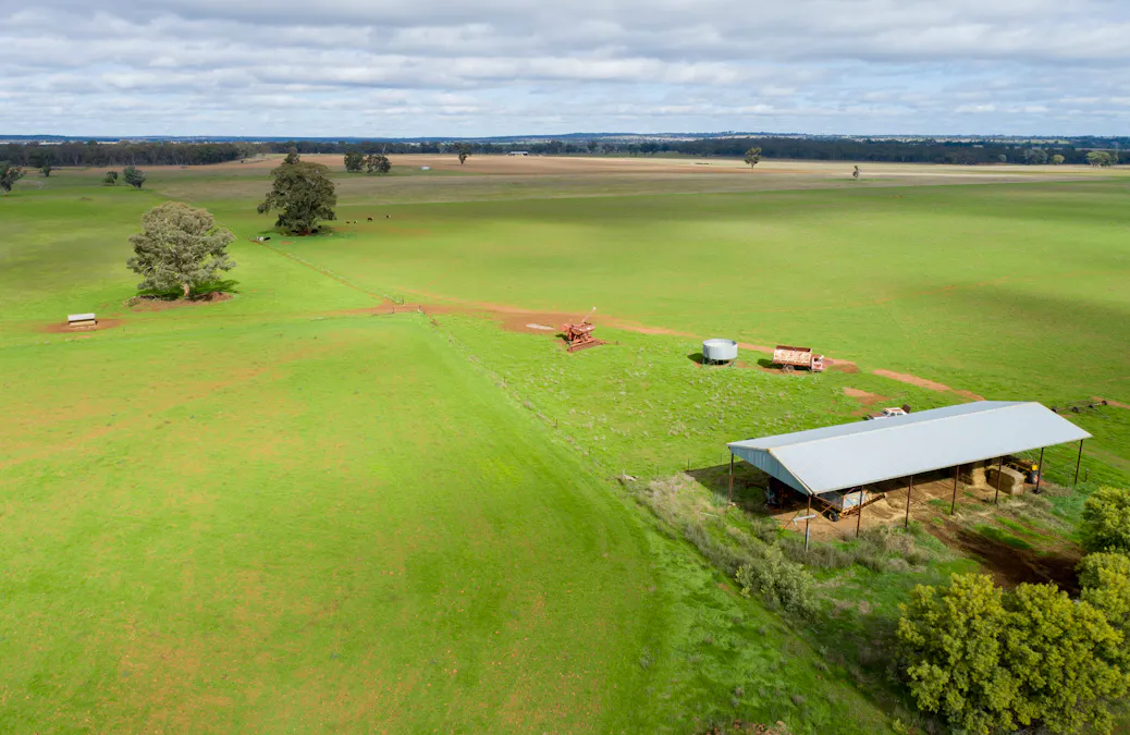 Caruba, 176 Uphills Lane, Purlewaugh, NSW, 2357 - Image 3