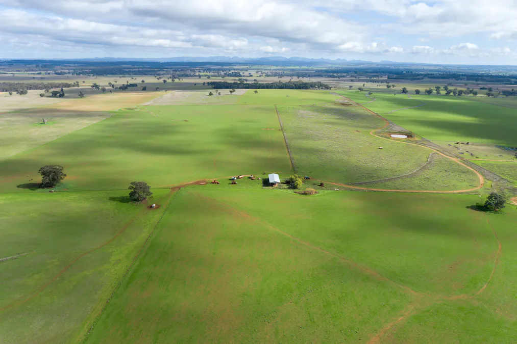 Caruba, 176 Uphills Lane, Purlewaugh, NSW, 2357 - Image 15
