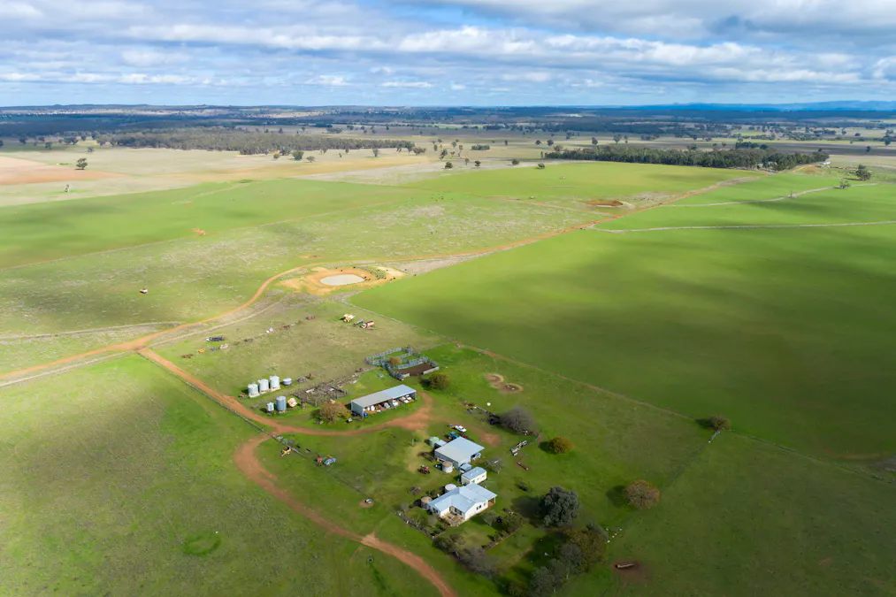 Caruba, 176 Uphills Lane, Purlewaugh, NSW, 2357 - Image 2