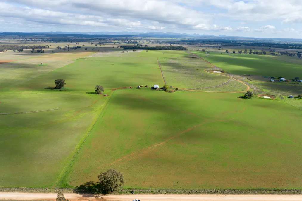 Caruba, 176 Uphills Lane, Purlewaugh, NSW, 2357 - Image 1