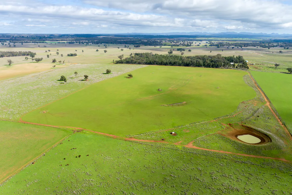 Caruba, 176 Uphills Lane, Purlewaugh, NSW, 2357 - Image 17