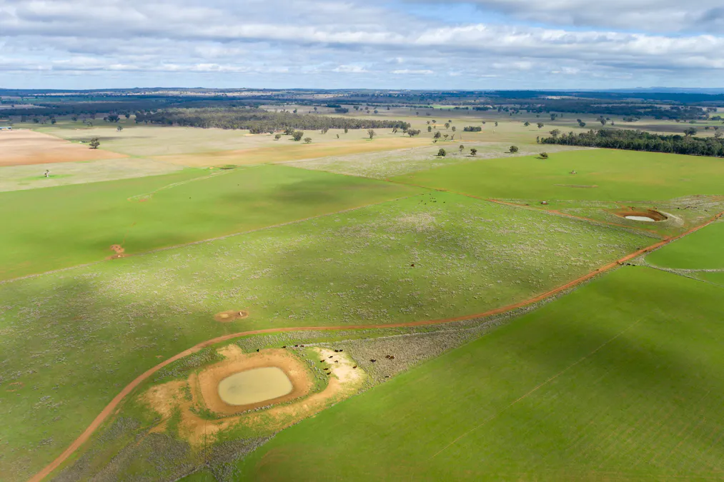 Caruba, 176 Uphills Lane, Purlewaugh, NSW, 2357 - Image 18