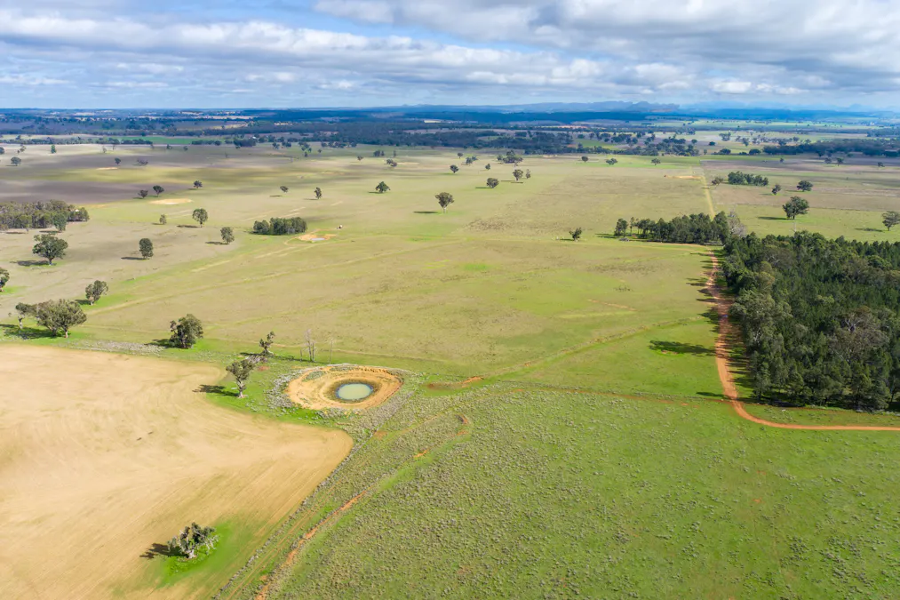 Caruba, 176 Uphills Lane, Purlewaugh, NSW, 2357 - Image 20