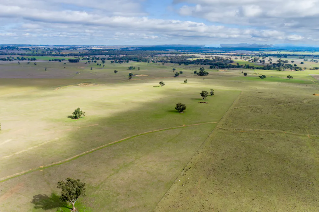 Caruba, 176 Uphills Lane, Purlewaugh, NSW, 2357 - Image 21