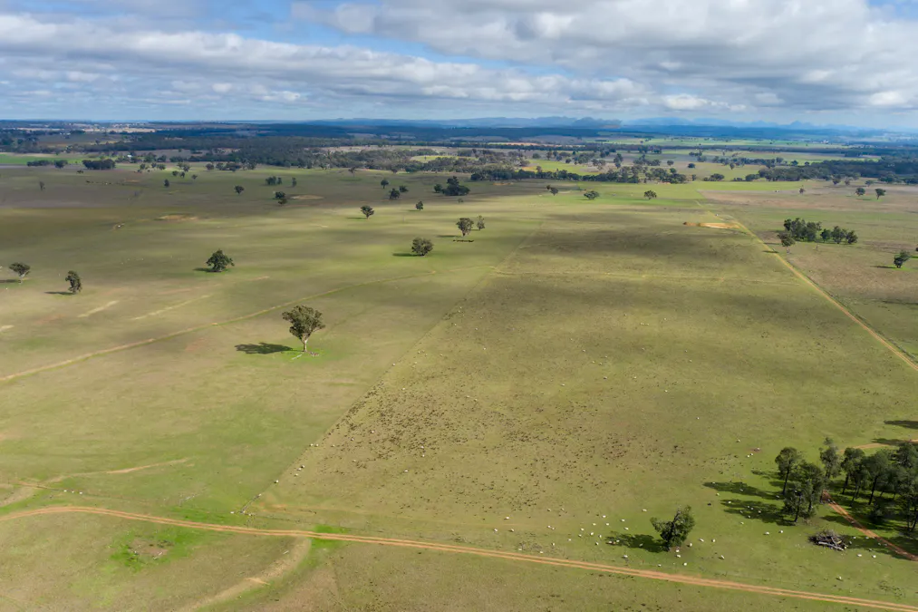 Caruba, 176 Uphills Lane, Purlewaugh, NSW, 2357 - Image 23