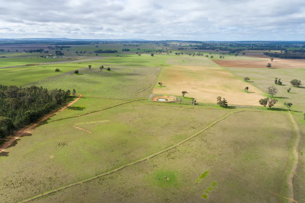 Caruba, 176 Uphills Lane, Purlewaugh, NSW, 2357 - Image 24