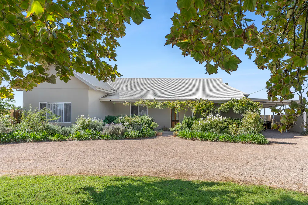 154 Seventh Street, Renmark, SA, 5341 - Image 1