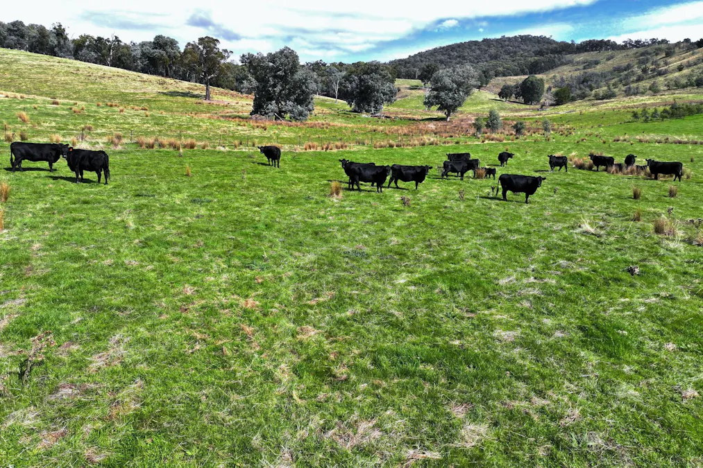 160 Carboor Upper Road, Carboor, VIC, 3678 - Image 6