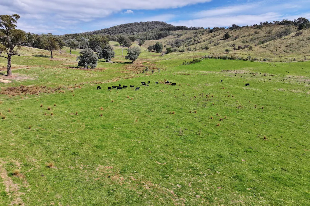 160 Carboor Upper Road, Carboor, VIC, 3678 - Image 9