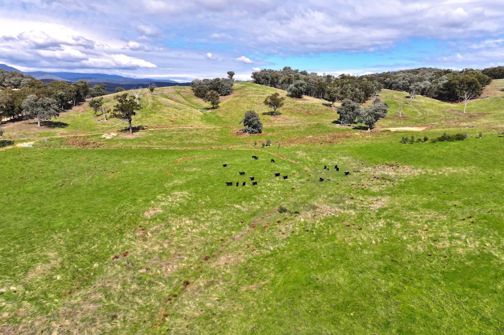 160 Carboor Upper Road, Carboor, VIC, 3678 - Image 12