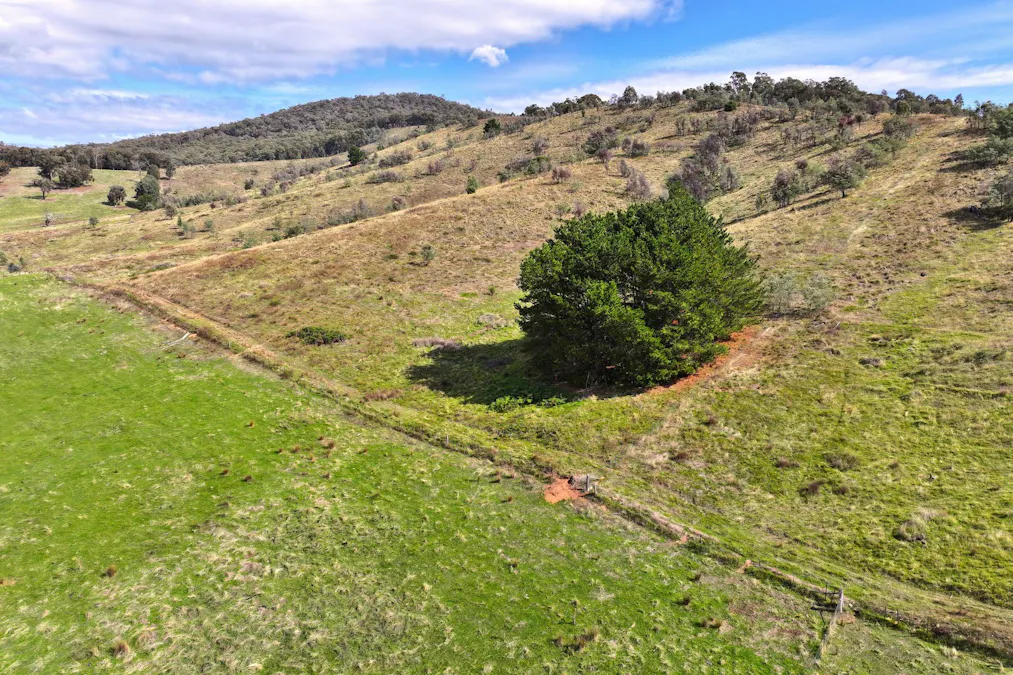 160 Carboor Upper Road, Carboor, VIC, 3678 - Image 13