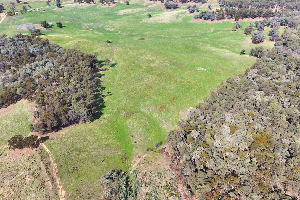 160 Carboor Upper Road, Carboor, VIC, 3678 - Image 14