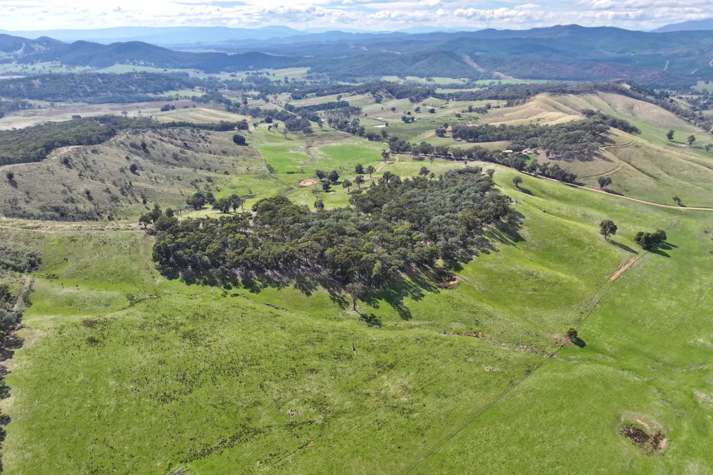 160 Carboor Upper Road, Carboor, VIC, 3678 - Image 16
