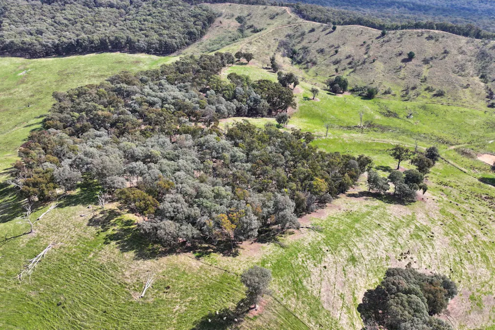 160 Carboor Upper Road, Carboor, VIC, 3678 - Image 19