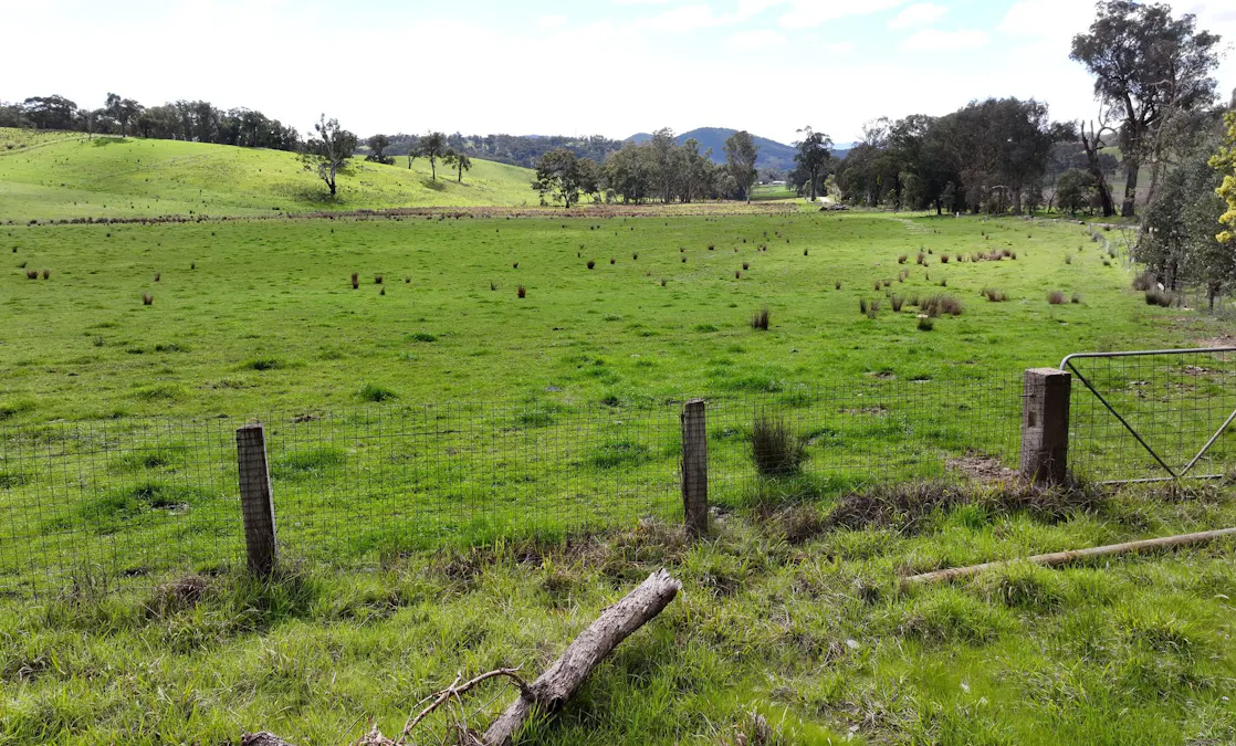 160 Carboor Upper Road, Carboor, VIC, 3678 - Image 18