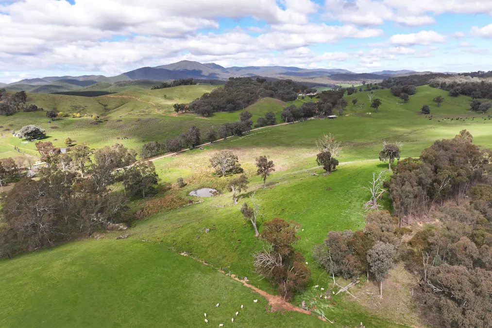 160 Carboor Upper Road, Carboor, VIC, 3678 - Image 21