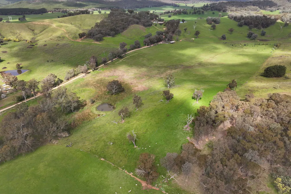 160 Carboor Upper Road, Carboor, VIC, 3678 - Image 22