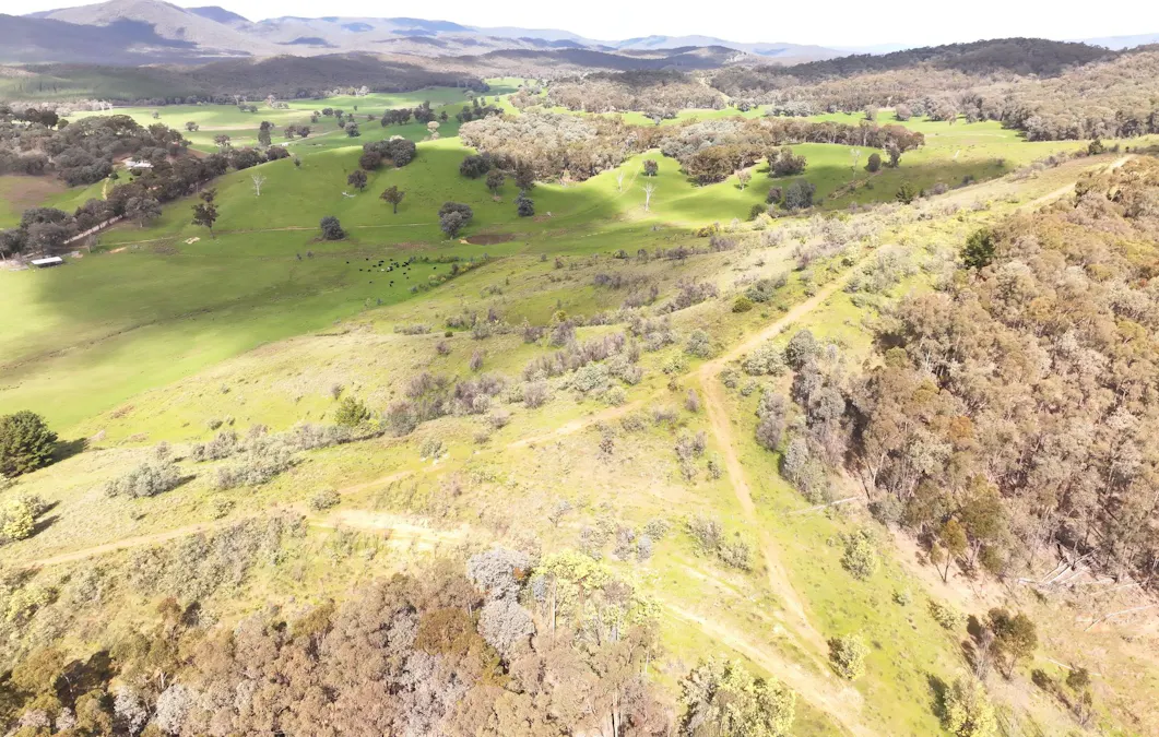 160 Carboor Upper Road, Carboor, VIC, 3678 - Image 23