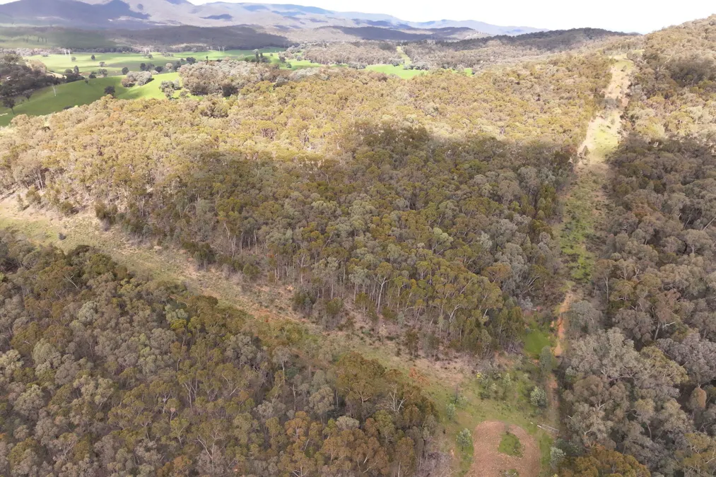 160 Carboor Upper Road, Carboor, VIC, 3678 - Image 24