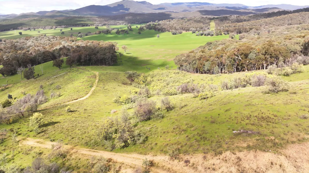 160 Carboor Upper Road, Carboor, VIC, 3678 - Image 25