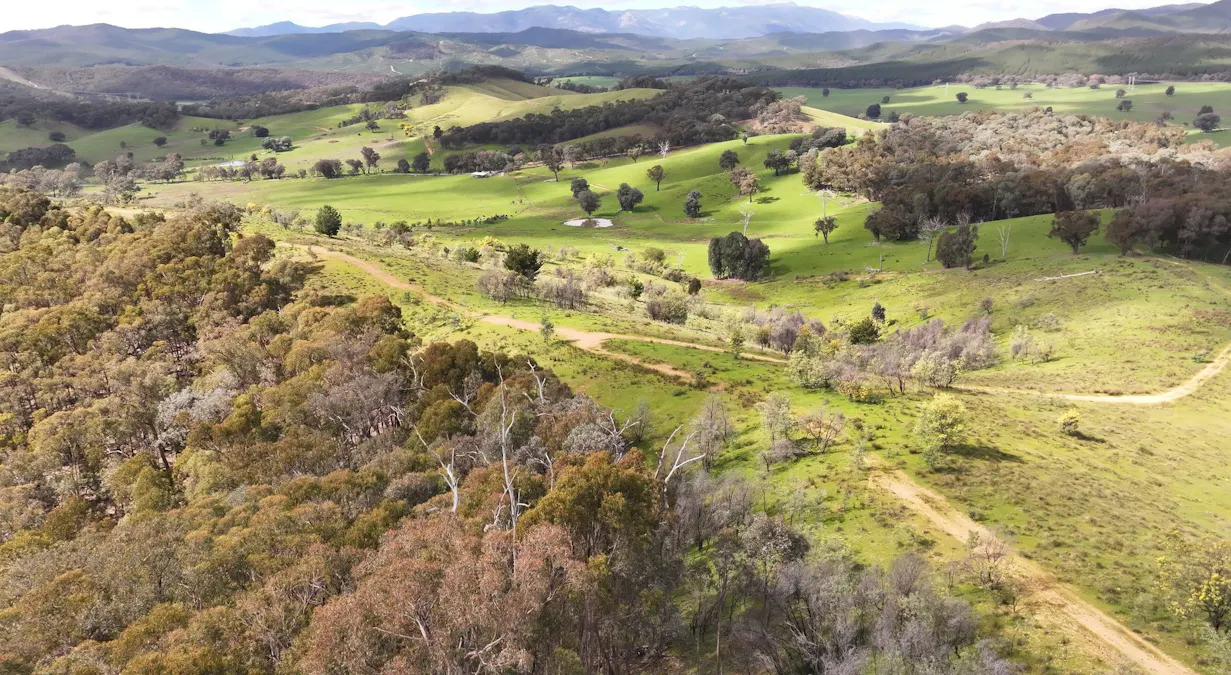 160 Carboor Upper Road, Carboor, VIC, 3678 - Image 26