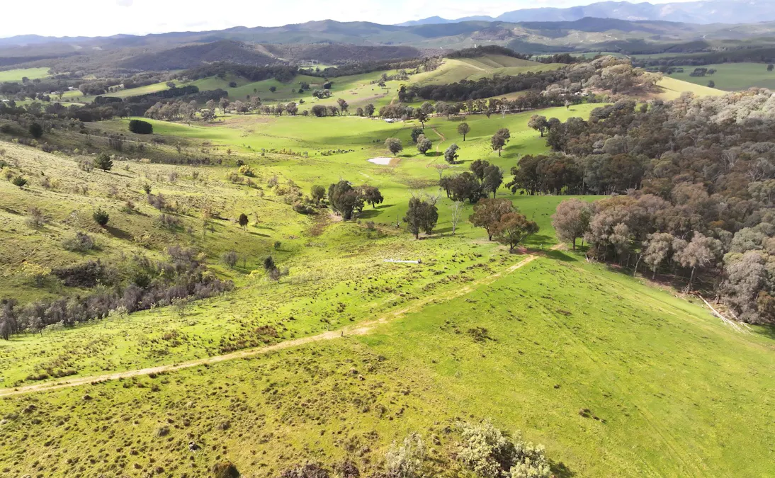 160 Carboor Upper Road, Carboor, VIC, 3678 - Image 28