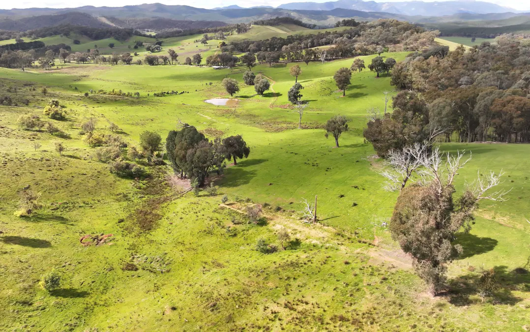 160 Carboor Upper Road, Carboor, VIC, 3678 - Image 30