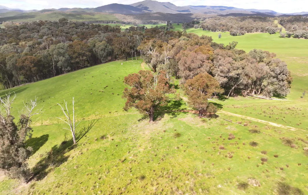 160 Carboor Upper Road, Carboor, VIC, 3678 - Image 31
