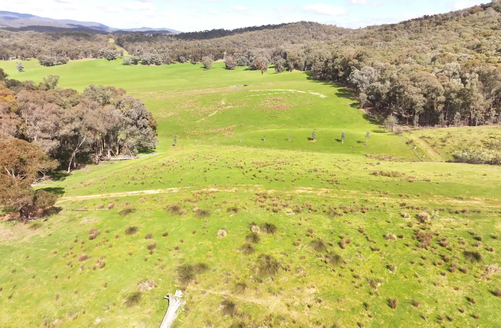 160 Carboor Upper Road, Carboor, VIC, 3678 - Image 32