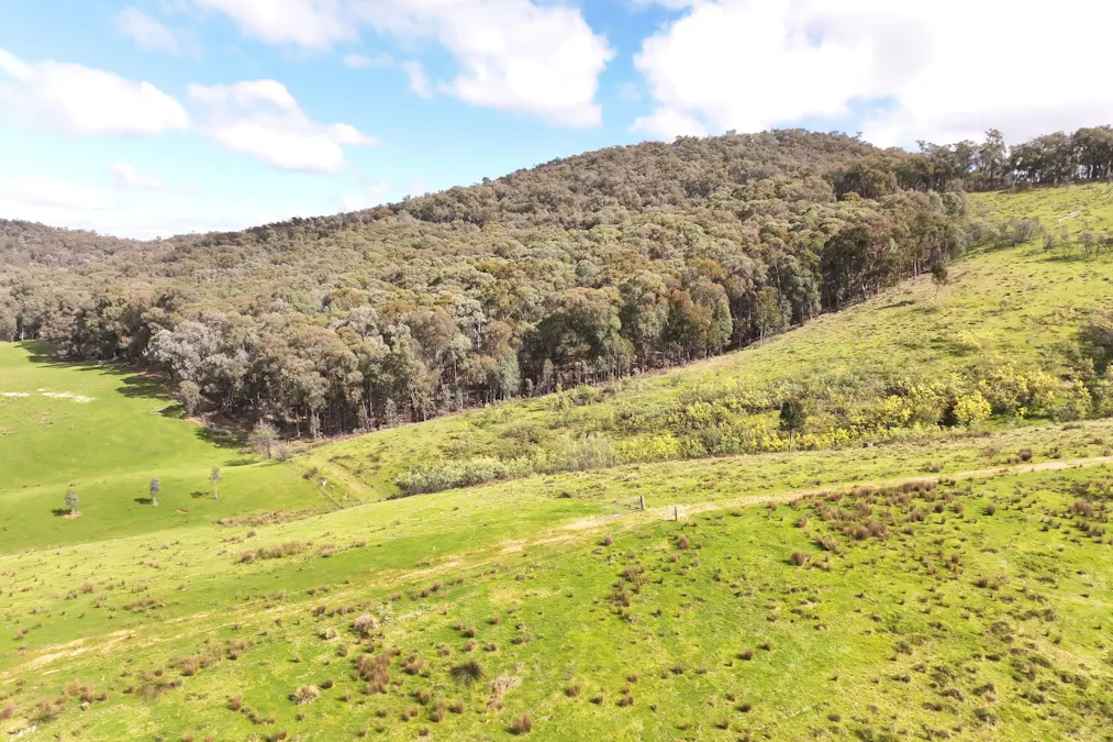 160 Carboor Upper Road, Carboor, VIC, 3678 - Image 33